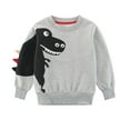 thumbnail image 1 of Aocisk Chandail de Sport à Manches Longues pour Garçons Tout-Petits avec Dinosaure, Col Rond, Gris, 2-3 Ans, 1 of 2