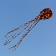 thumbnail image 5 of Cometa de gran tamaño 3D de una sola línea con línea de vuelo de 30 m y cola larga para niños y adultos. naranja negro, 5 of 9