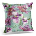 thumbnail image 1 of EREHome Colorful Abstract Poppies Green Appearance Pillow Case Pillow Cover 20x20 inch, 1 of 1