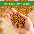 thumbnail image 2 of Sincerely Nuts Roasted Soybeans Unsalted (5.1 LB) Gluten-Free - Vegan & Kosher-Powerful Vegetarian Protein Source, 2 of 5