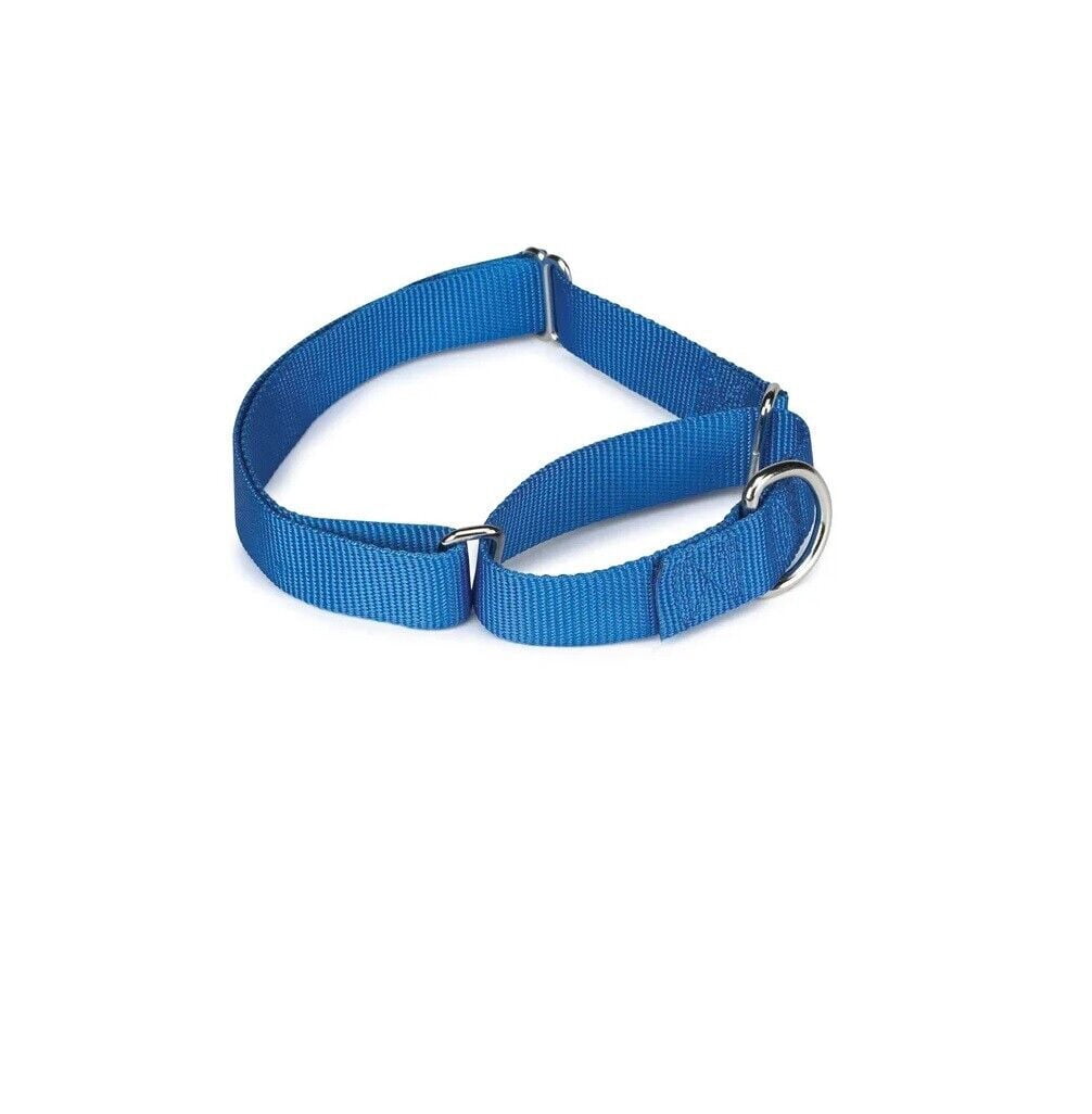 Bulk Wholesale Nylon Martingale Collars Shelter Rescue Vet Makes Great Donations (25 Collars 18 to 26 Inch)