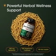 thumbnail image 4 of NatureBell Berberine 500mg - 300 Capsules - 97% Pure Berberine HCl - 5:1 Root Extract of Berberis Aristata - Antioxidant, Alkaloid & Adaptogenic Support - 150 Servings, 4 of 8