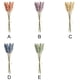 thumbnail image 2 of Matsuzay 1/6/10 Uds. Espigas de grano pequeñas frescas con simulación de hierba ramo de flores flores secas decoración pastoral natural para el hogar Flores artificiales rosa Matsuzay HA6566-01B, 2 of 6
