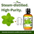 thumbnail image 4 of Mayan's Secret Spearmint Essential Oil 30 mL for Diffuser, Home & DIY Use, 4 of 8