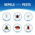thumbnail image 4 of Repelente de insectos Cutter Dry en aerosol seco 113 ml, paquete de 12, 4 of 9