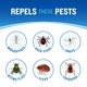 thumbnail image 4 of Repelente de insectos Cutter Dry en aerosol seco 113 ml, paquete de 12, 4 of 9
