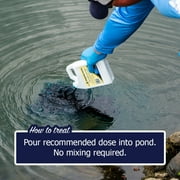 Reflective Black Pond Dye Concentrated Quart