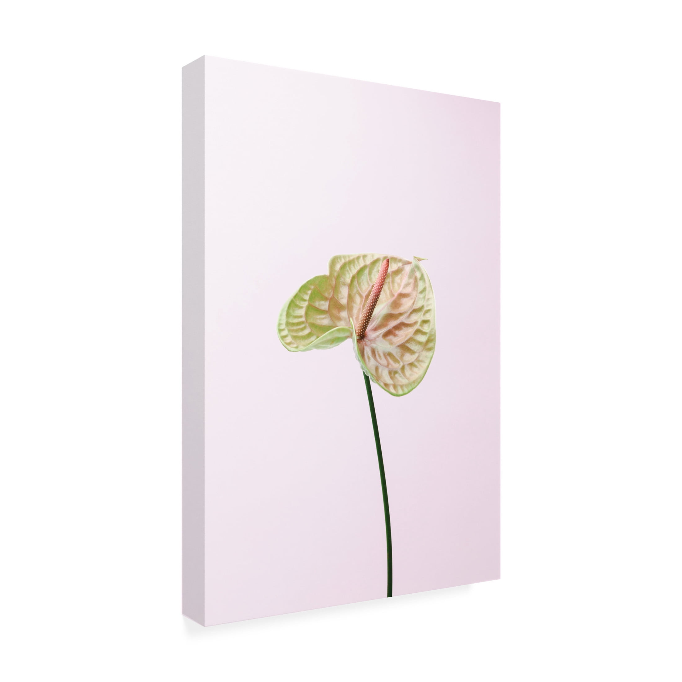 Trademark Fine Art Pictufy Studio Flammingo Flower Canvas Wall Art