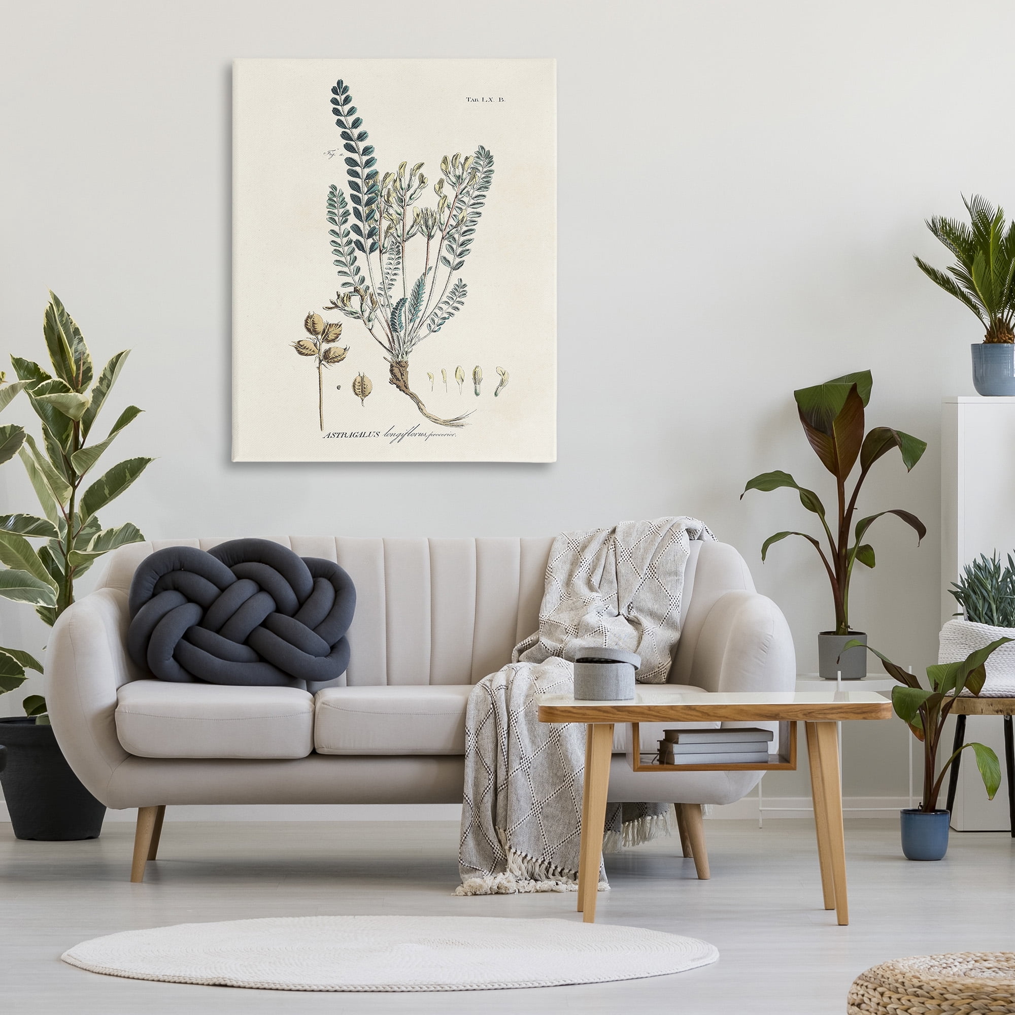 Stupell Industries Nature Leaves & Seeds Botanical & Floral Painting Gallery Wrapped Canvas Art Print Wall Art, 36 x 48