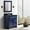 Blue & Black, variant on 31 in. Single Rectangle Sink Vanity with Galaxy Granite Top, Black