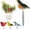 Black, variant on Soil Moisture Meter, Bird Shape Plant Water Tester Hygrometer Gardening Tool, Portable Watering Alarm Chirping Bird Plant Water Tester for Indoor Outdoor Plants Garden Decorations