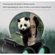 thumbnail image 2 of QUTETN 10x22 High-Definition Glass Lens Binoculars - Portable Folding Design with Center Focus, Black for Outdoor Travel, Camping & Wildlife Exploration, Sleek Design, Durable Construction, 2 of 4