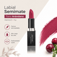 thumbnail image 2 of Labial Semimate Zermat Eleganzza Arándano 4 g Con Vitamina E Alta Pigmentación Textura Aterciopelada, 2 of 7