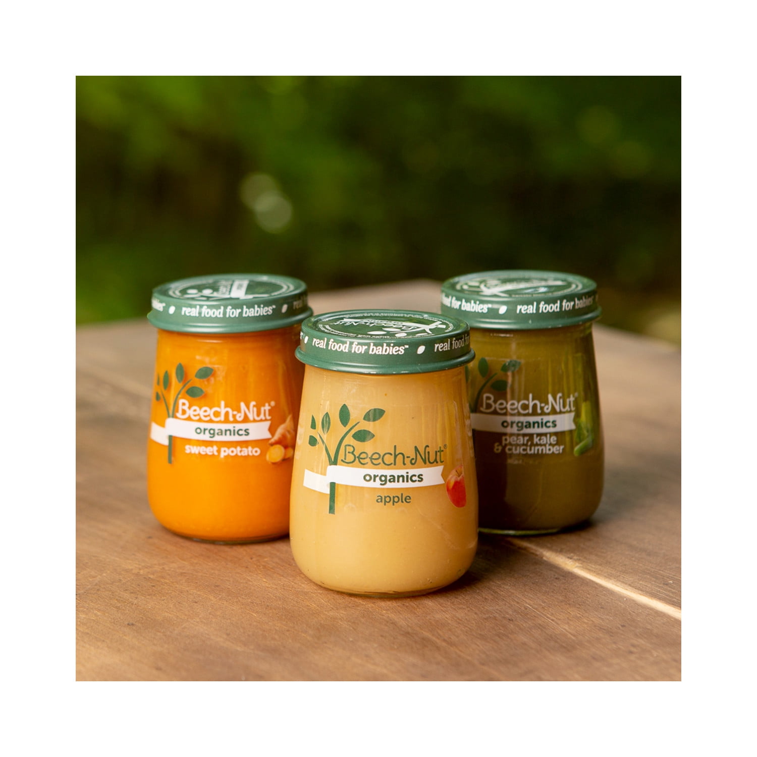 Beech-Nut Organics Stage 1 Organic Baby Food, Prunes, 4 oz Jar (10 Pack)