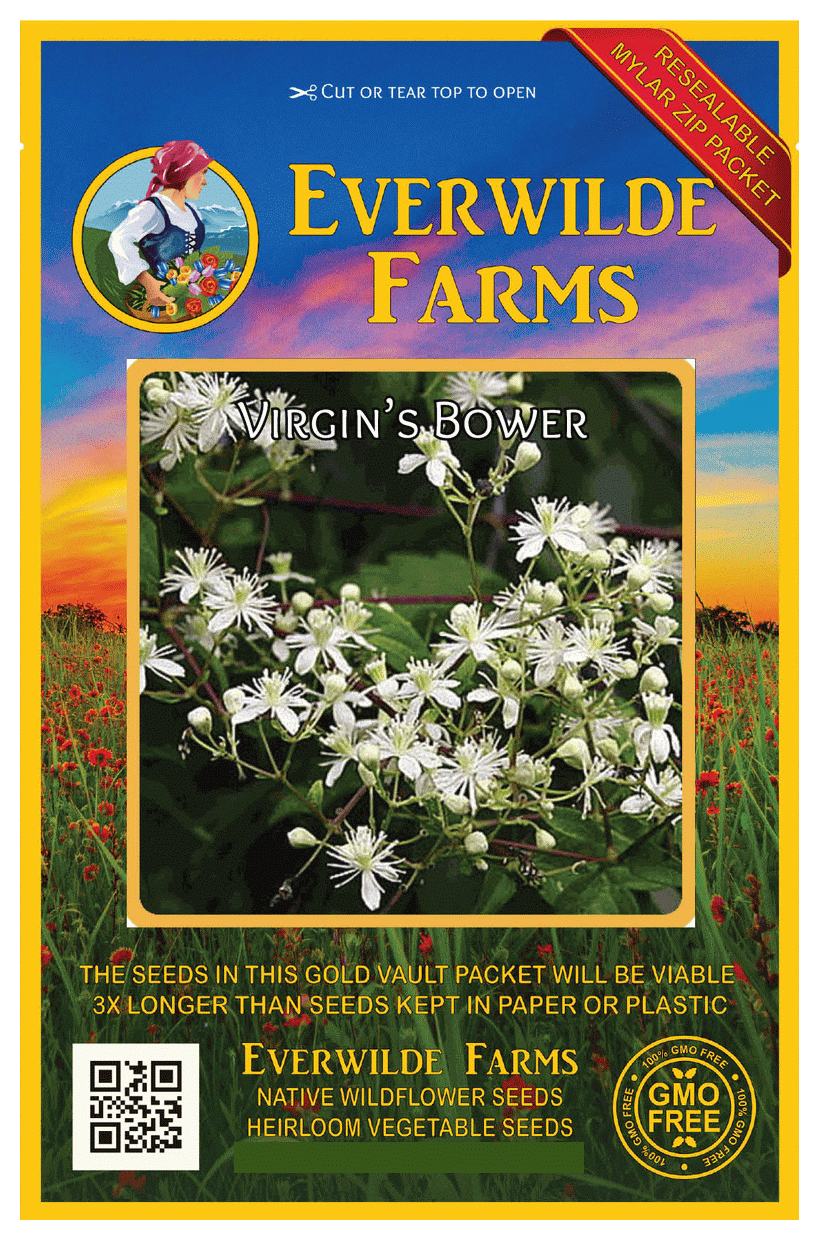 200 Broadleaf Sage Herb Seeds - Everwilde Farms Mylar Seed Packet