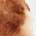 thumbnail image 2 of Pintura Acuarela 5Ml Winsor & Newton Sombra Tostada S-1 #076, 2 of 9