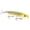 Lemon Trout, variant on Strike King Saltwater Hard Knock Sexy Dawg 4.5, Lemon Trout