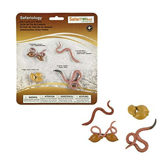 Safari Ltd. - Life Cycle of a Worm