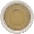 thumbnail image 4 of Waterway Plastics 550-6810 1.25 in. Flapper Check Valve - White, 4 of 5