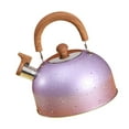 thumbnail image 2 of Hervidor de agua de acero inoxidable NikouMX Kette Rendimiento probado, 2 of 8