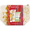 thumbnail image 3 of ($28 Value) Burt's Bees Skin Care Favorites Holiday Gift Set, 5 Products, 3 of 4