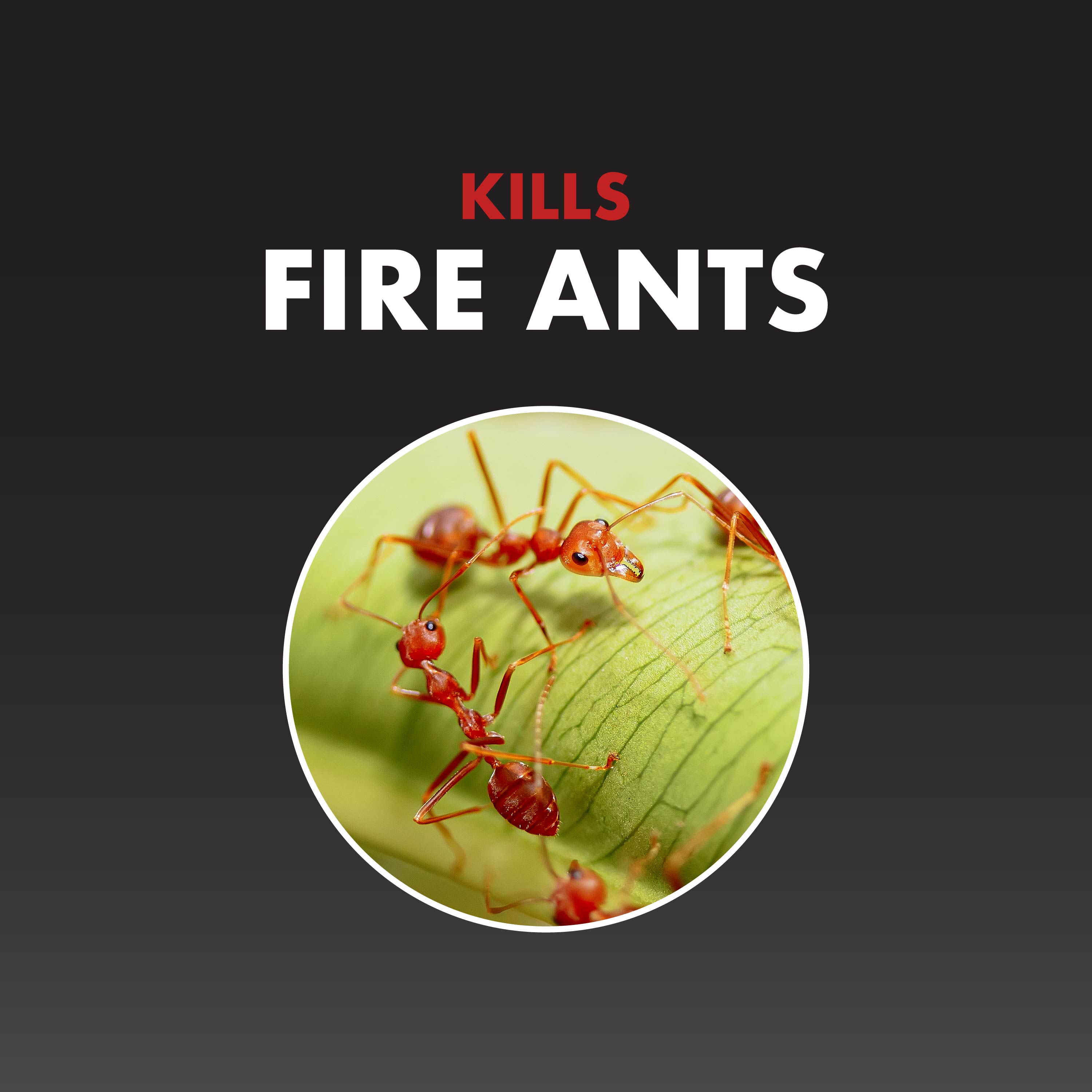 Spectracide One-Shot Fire Ant Killer, 1.5 lb Canister photo 2
