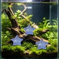 thumbnail image 6 of 10 Pack Resin Star Shape Aquarium Ornament Visible in Dark, Glow Luminous Fish Tank DIY Decorative Stones, Nocturnal Bright Substrate Accent for Betta Shrimp Tank Aquascaping Night Scenery, 6 of 7