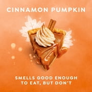 Dove Limited Edition Holiday Treats Liquid Hand Wash For Deep Nourishment Cinnamon Pumpkin Pie ,12 fl oz