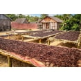 thumbnail image 6 of Organic Vanilla Extract - Made with Madagascar Vanilla Beans – For Baking, Desserts, Home Cooking and Chefs - 8 OZ, 6 of 8
