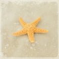 thumbnail image 2 of LightBoxJournal 20x20 White Modern Wood Framed Museum Art Print Titled - Gypsy Sea Brown 4, 2 of 4