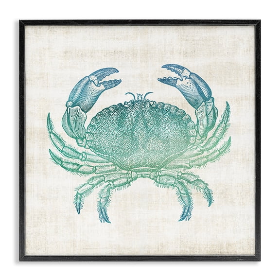 Stupell Industries Coastal Ombre Crab Impression Black Framed Giclee Art, 12 x 12, by Susan Arnot