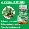 thumbnail image 3 of Oil of Oregano Capsules - Support Immune Function, Digestion & Gut Health, Antioxidant - for Men and Women - 120 Count, 3 of 8