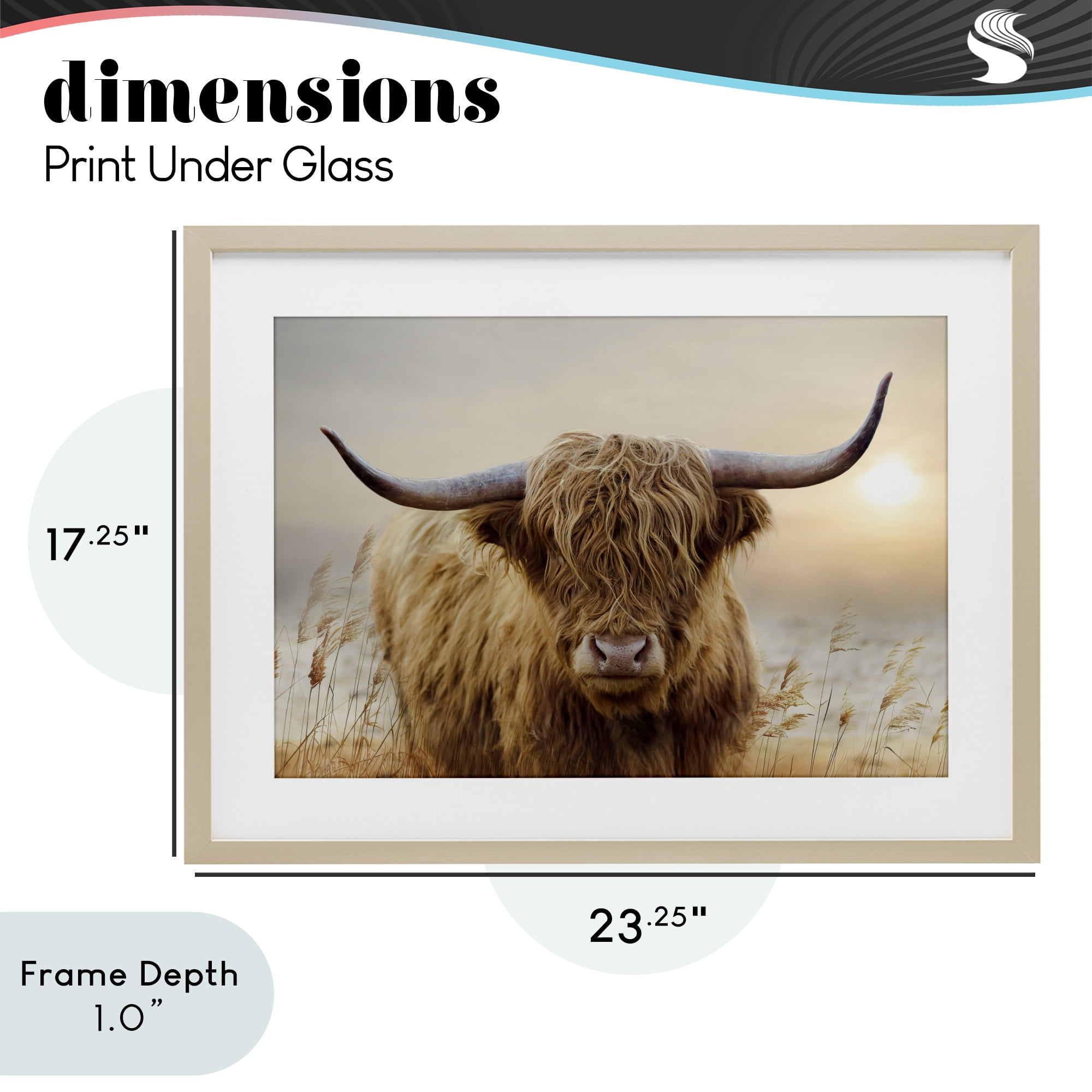 Stupell Industries Highland Cow & Warm Sunset Birch Framed Print Under Glass, design by CAD Designs