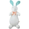 Pat The Bunny: Jumbo Pat The Bunny