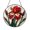 Acrylic 3.5 Inch, variant on Round Red Iris Stained Glass Suncatcher Window Hanging Decorative Floral Panel for Home Decor Perfect Gift for Plant Lovers