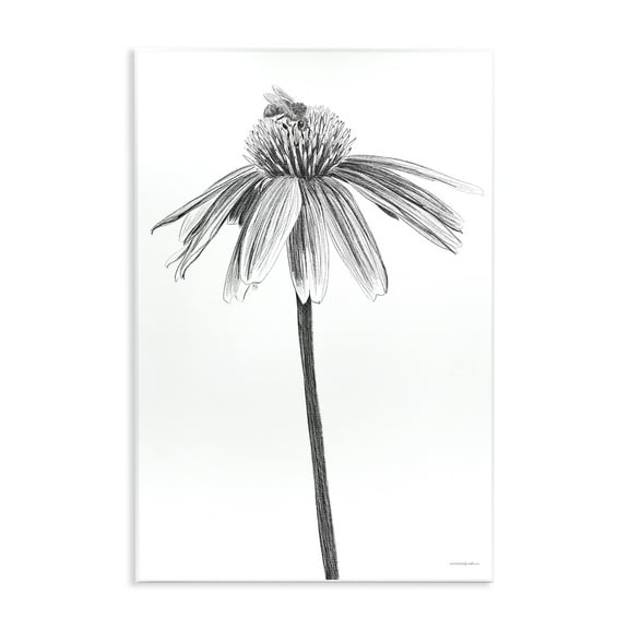 Stupell Industries Simple Daisy Sprig Botanical & Floral Drawing Unframed Art Print Wall Art, 10 x 15