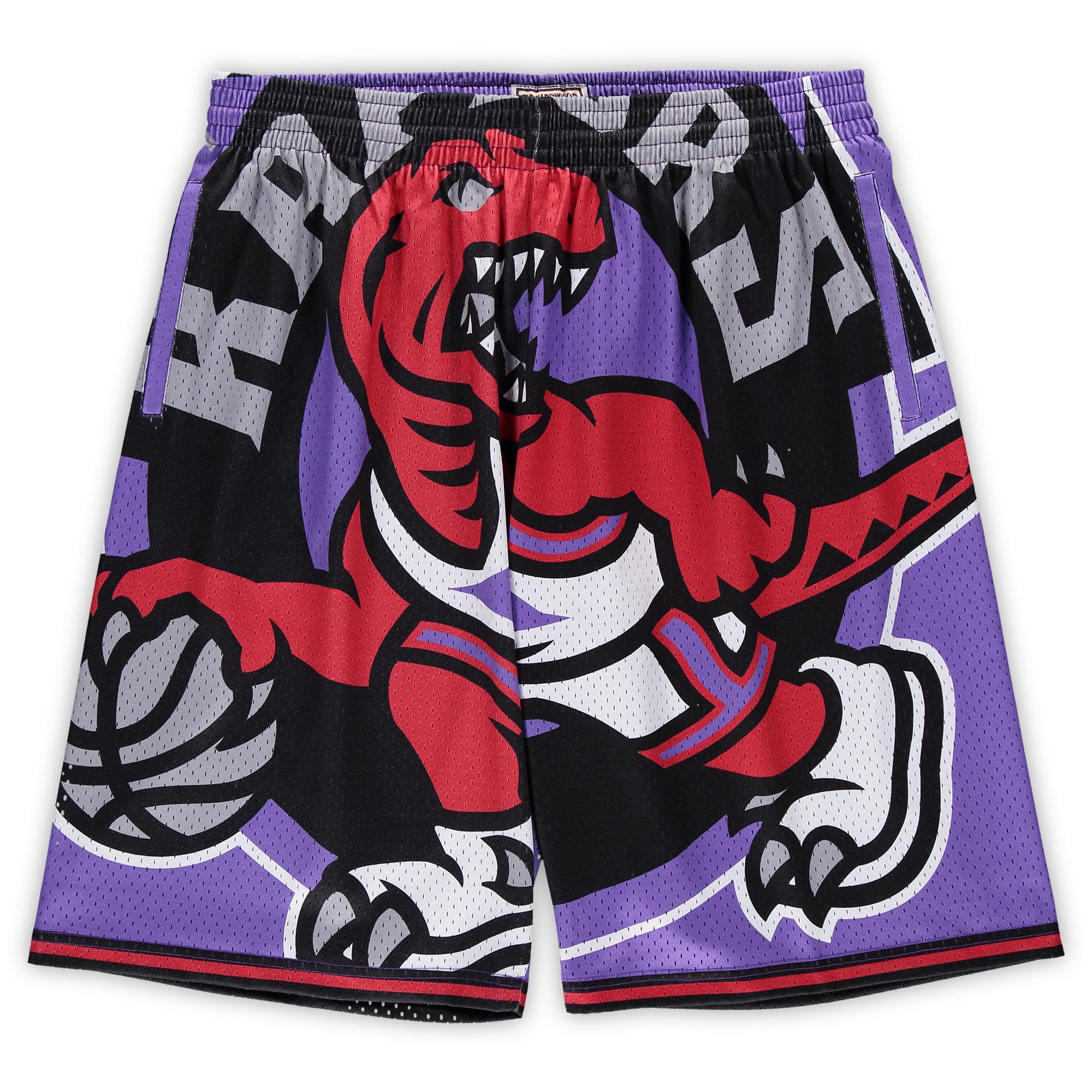 raptors big face shorts