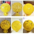thumbnail image 6 of Fruit Fly Sticky Trap,Happon 10 Pcs Flying Traps for Plants,Indoors,Outdoors, Kitchen, Office,Yellow Sticky Traps for Fungus Gnat, Fly and Flying Insects, 6 of 7