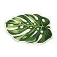 thumbnail image 2 of Alfombra de baño, alfombra de baño, alfombra de barro de diatomeas, alfombra de suelo de barro de diatomeas, felpudo interior para entrada, baño, , Monstera deliciosa, 2 of 8