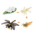 thumbnail image 1 of Alician Simulation Animal Life Growth Cycle Model Toys Kindergarten Teaching Aids Model Educational Toys For Children, 1 of 7