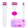 thumbnail image 1 of KAIYANG Kit de rodillos dermatológicos 6 en 1 para rostro y cuerpo: microagujas de 0,25 mm y 0,3 mm, 1 of 4