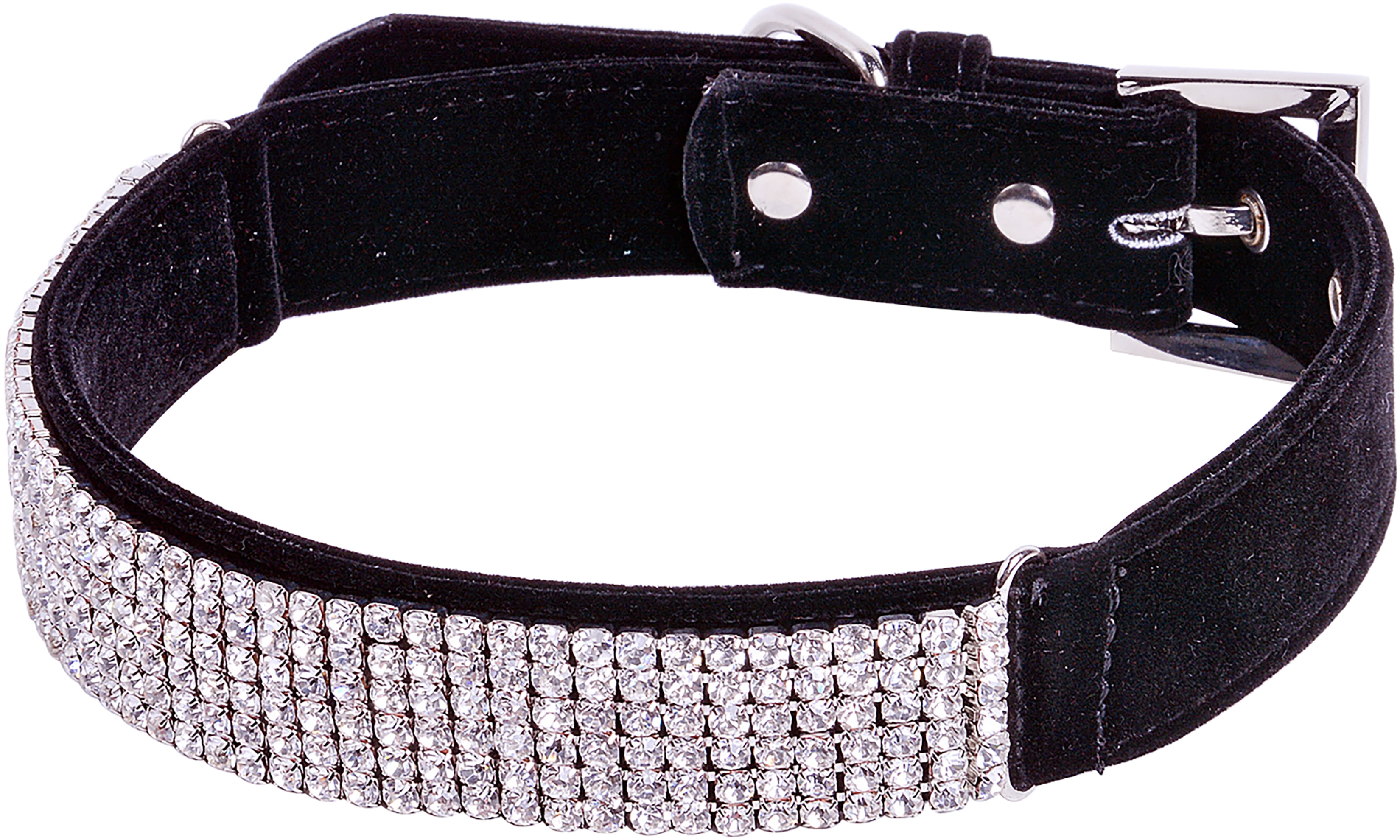 petface collar