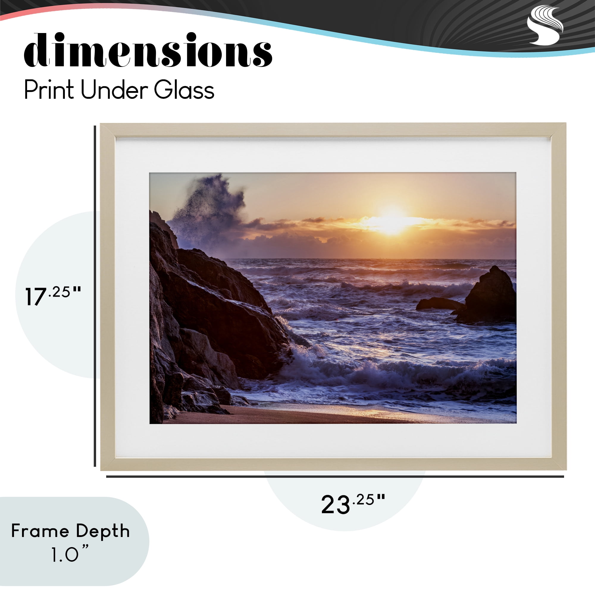 Stupell Industries Siren Song Rocky Shore Birch Framed Print Under Glass, design by Shelley Carlisle