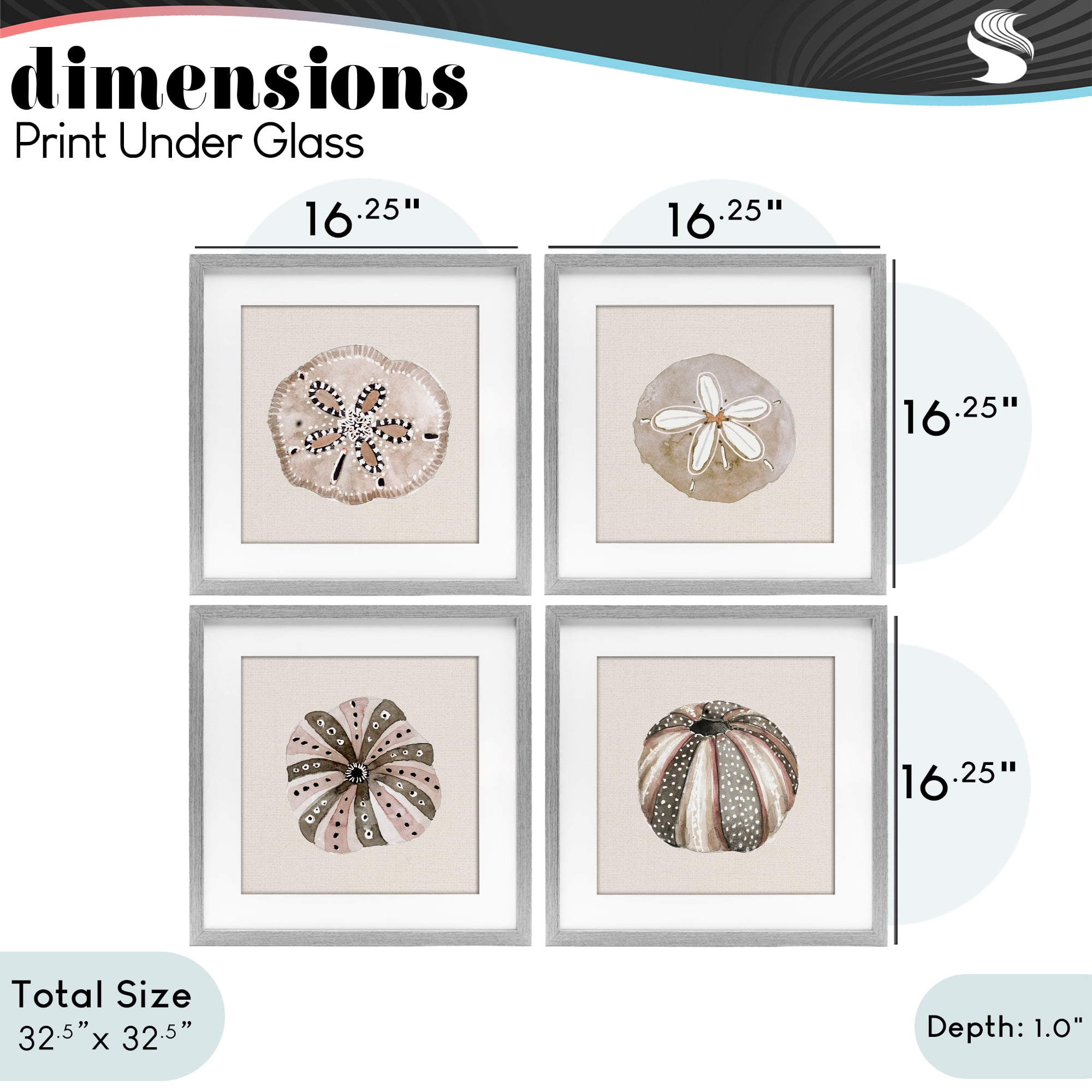 Stupell Industries Taupe & Beige Sea Creatures 4 Piece Gray Framed Print Under Glass Set, design by Lanie Loreth