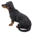 thumbnail image 4 of Estatua de perro salchicha Sculpture RUNADI Hi-Line Gift 87799-B, 4 of 5