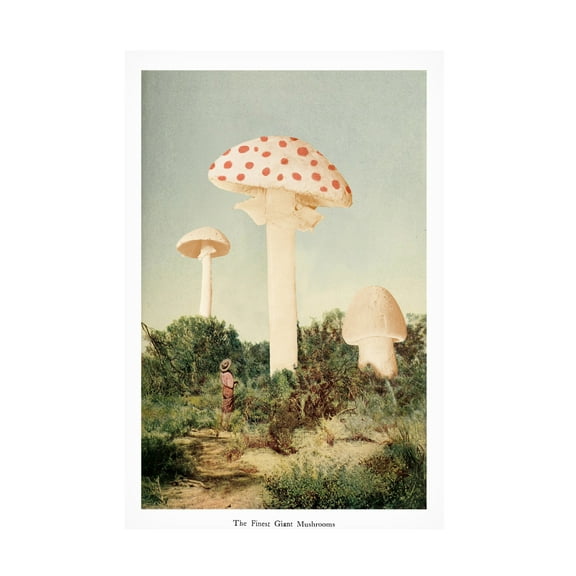 Trademark Fine Art Florent Bodart The Finest Giant Mushroom Canvas Wall Art