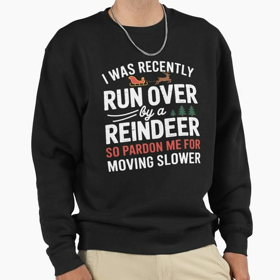Grandma Got Run Over Reindeer Unisex Sweatshirt Christmas Pardon Me Retro Graphic G7854, Up to Size 5XL