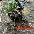 thumbnail image 4 of Weed Puller Tool, Weed Removal Tool Long Handle, Gardens Weed Puller, Manual Household Agricultural Tool, Remover Weeding Loosening, Easily Remove Weeds Without Bending, 2PC, 4 of 7