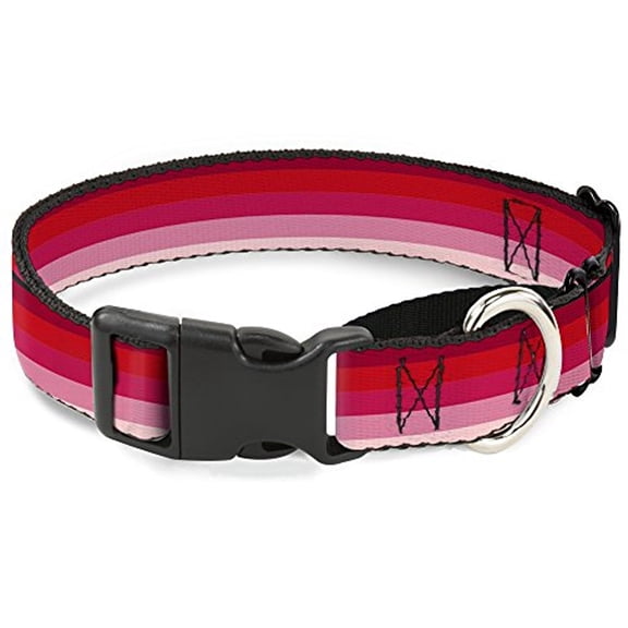Buckle-Down Spectrum Pink Martingale Dog Collar