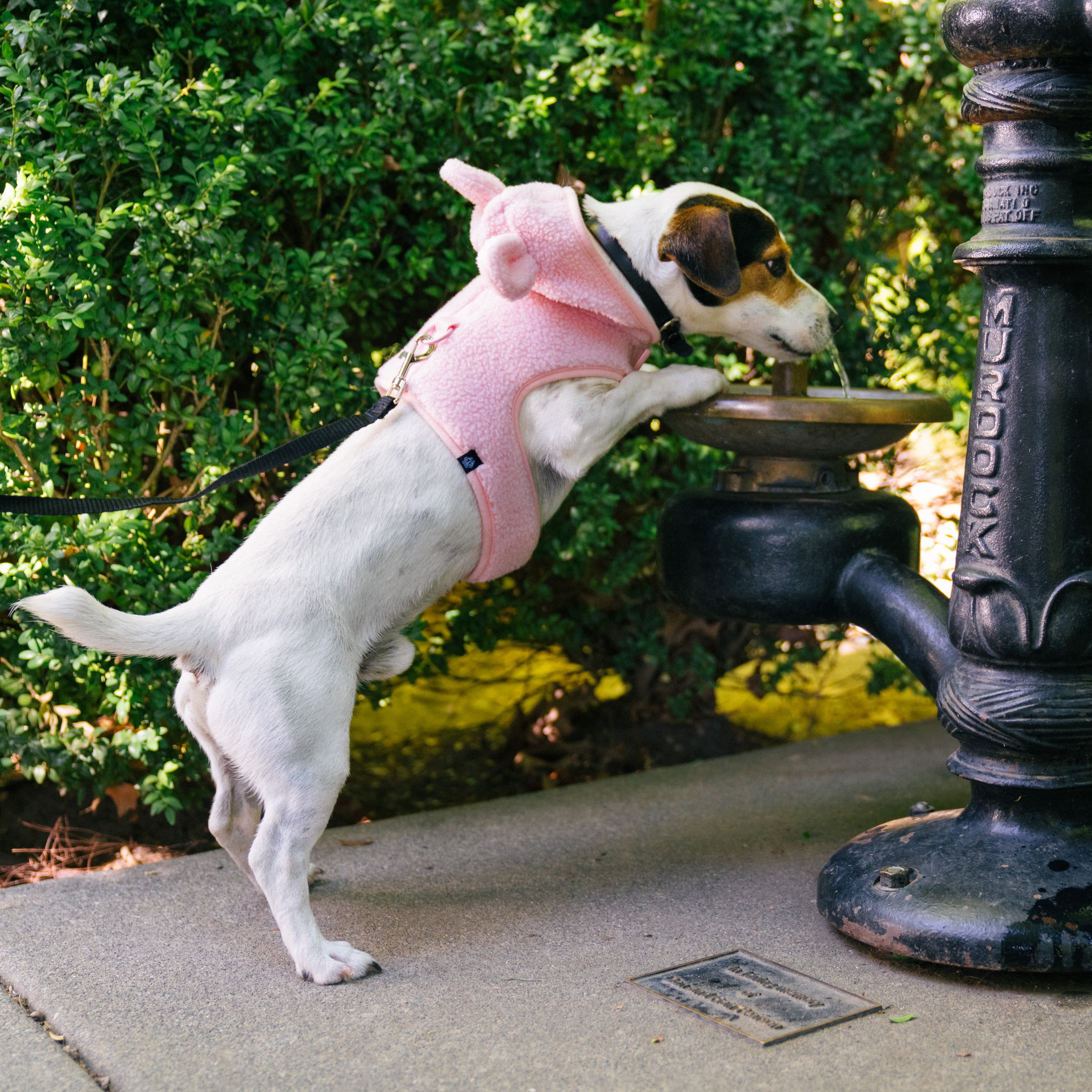 Gap Pet, Dog Harness, Furry Hooded Dog Harness, with Recycled Polyester, Pink